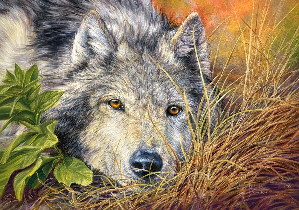 E-shop Puzzle Castorland Pure Soul 500 dielikov
