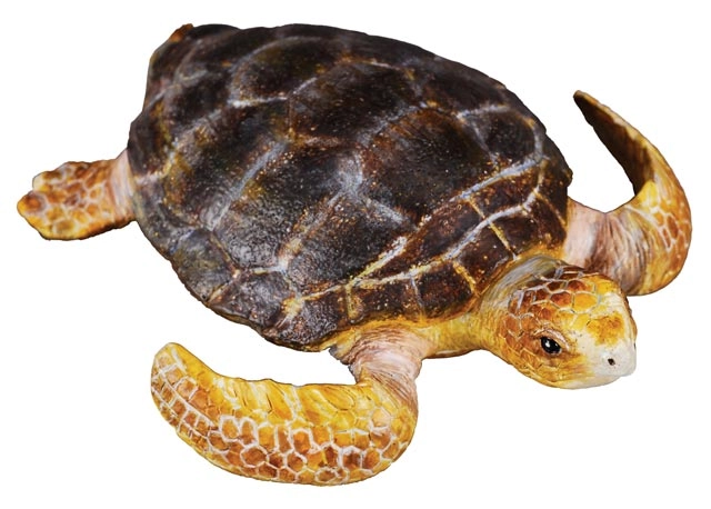 E-shop Collecta korytnačka – plastová figúrka pre deti