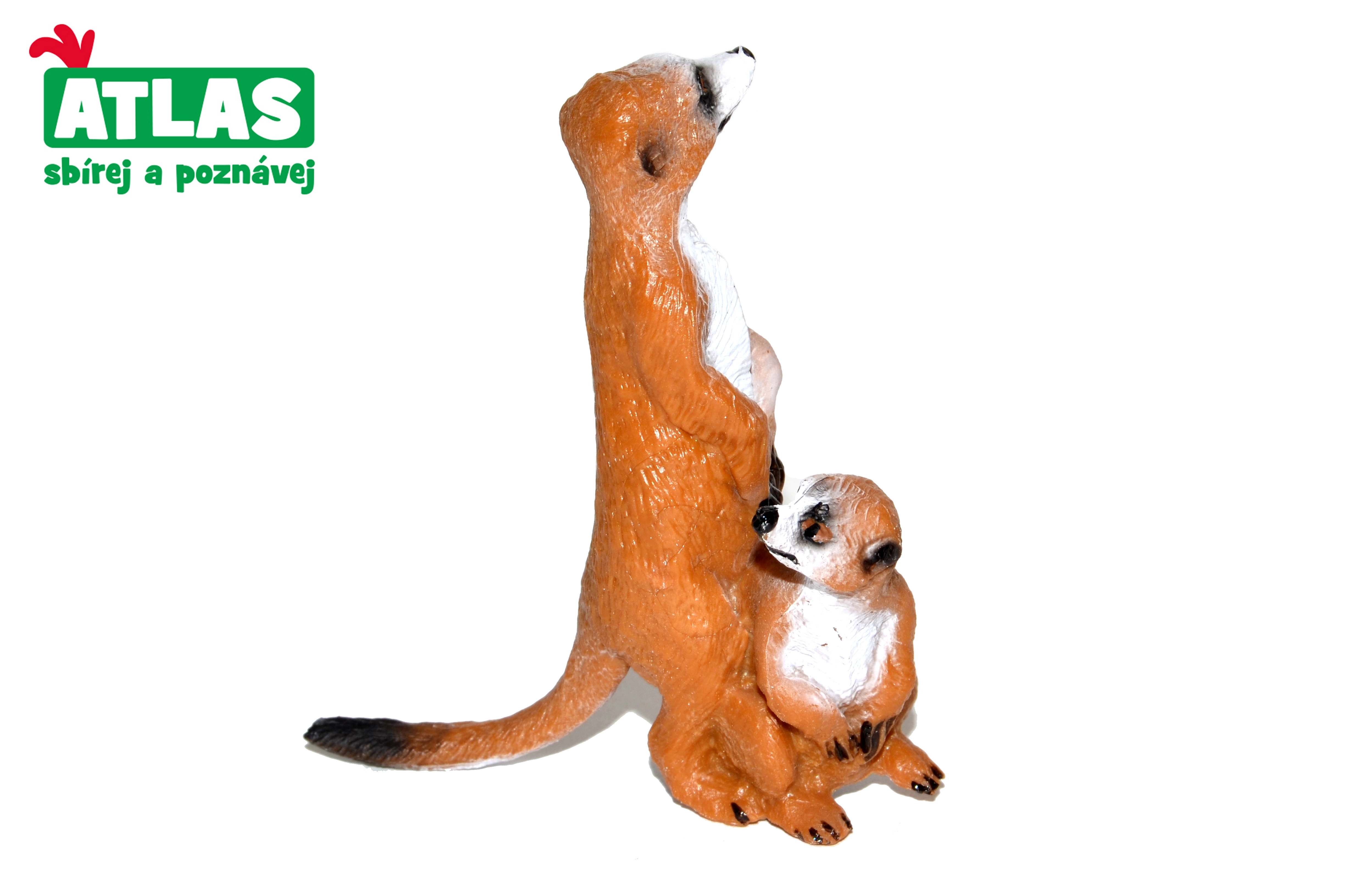 E-shop Atlas B Surikaty 8 cm