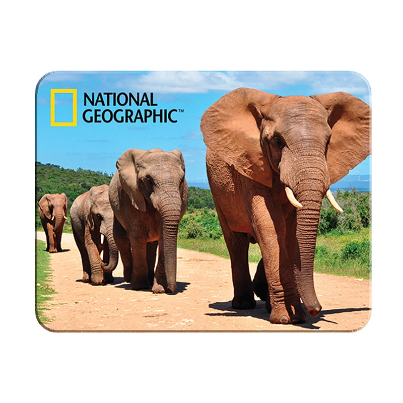 E-shop 3D magnet Africkí slony
