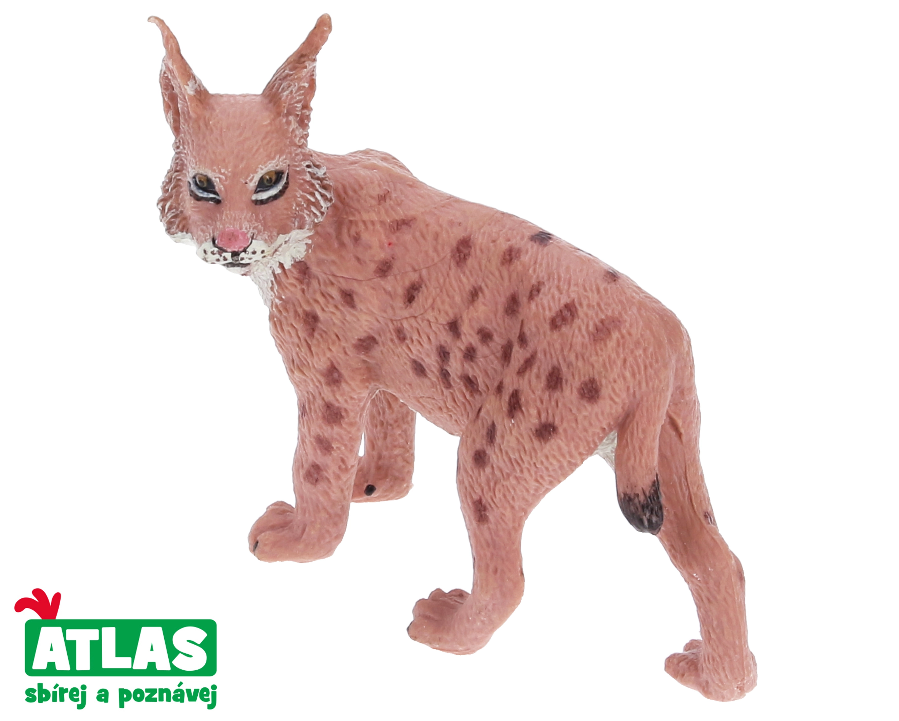E-shop Atlas A Rys 7 cm