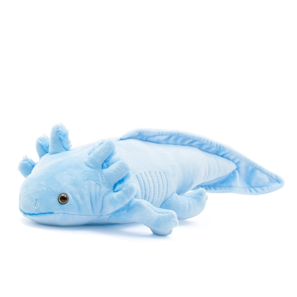 E-shop Axolotl Baby Mix modrá 45 cm