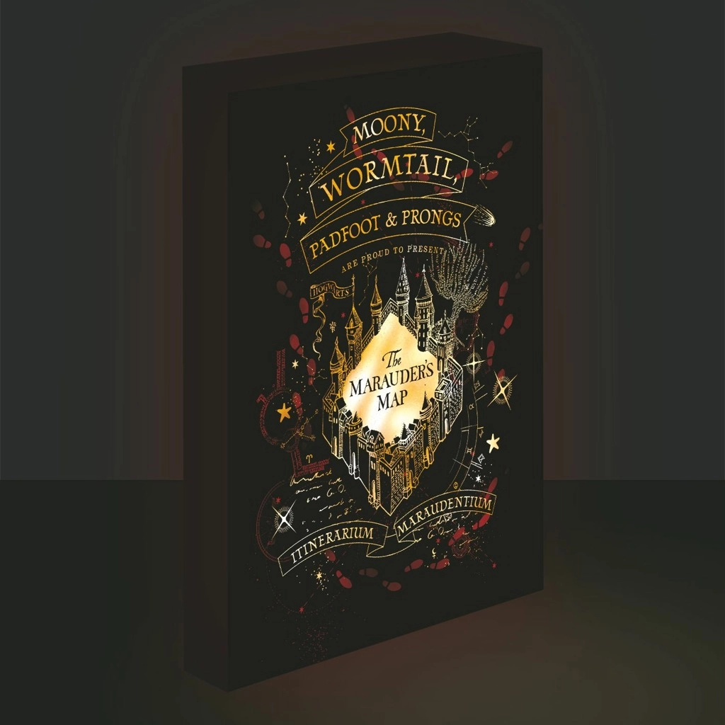 E-shop Paladone Svietiaci obraz Harry Potter - Záškodnícky plánik