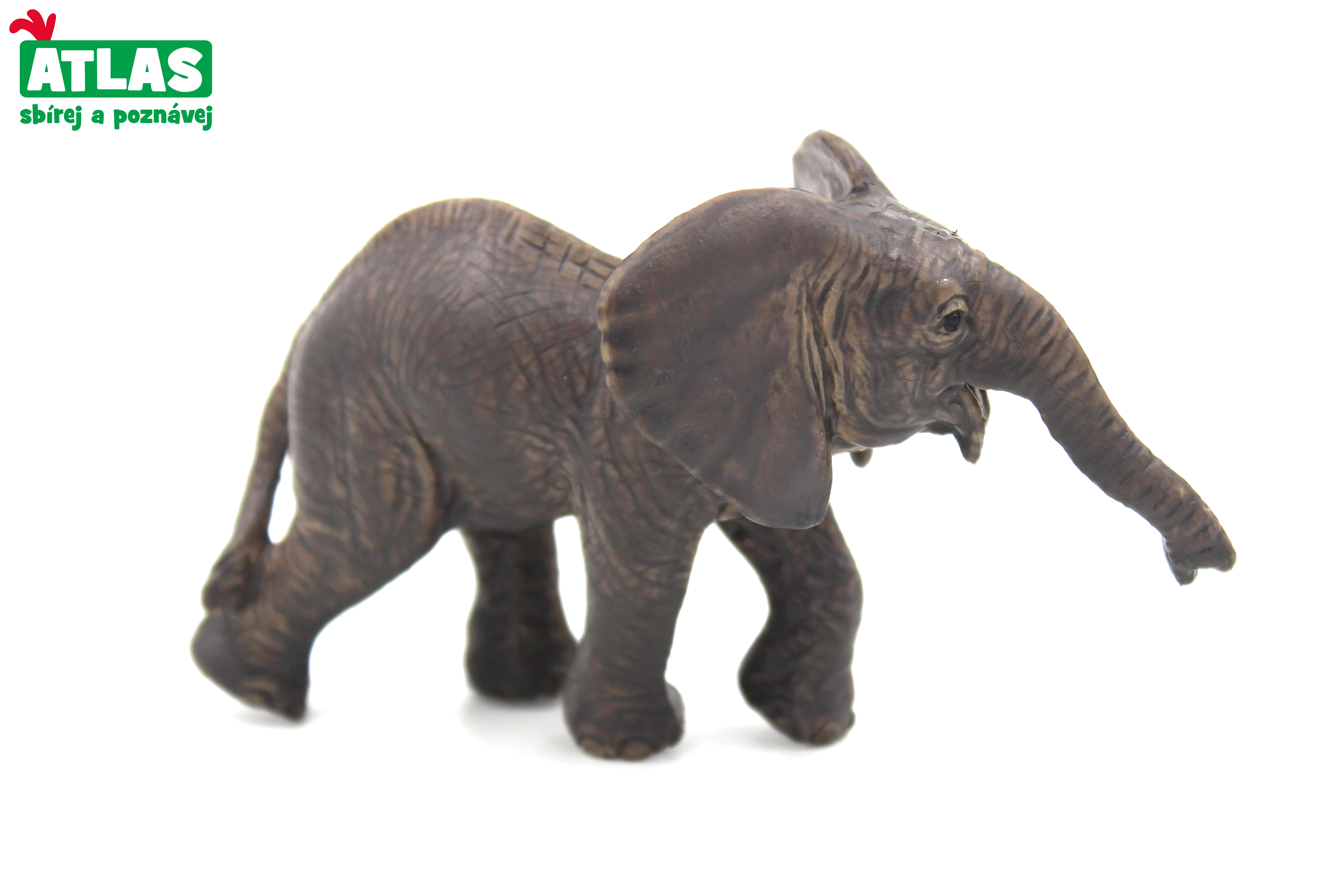 E-shop Atlas A Slůně africké 9cm
