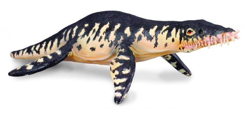 E-shop Collecta Liopleurodon
