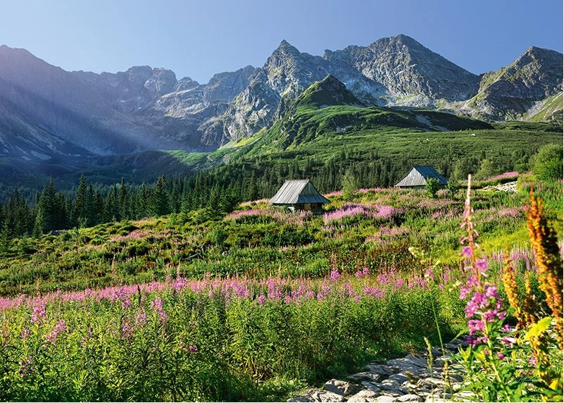 E-shop CHERRY PAZZI Gąsienicowa dolina Vysoké Tatry 1000 dielov