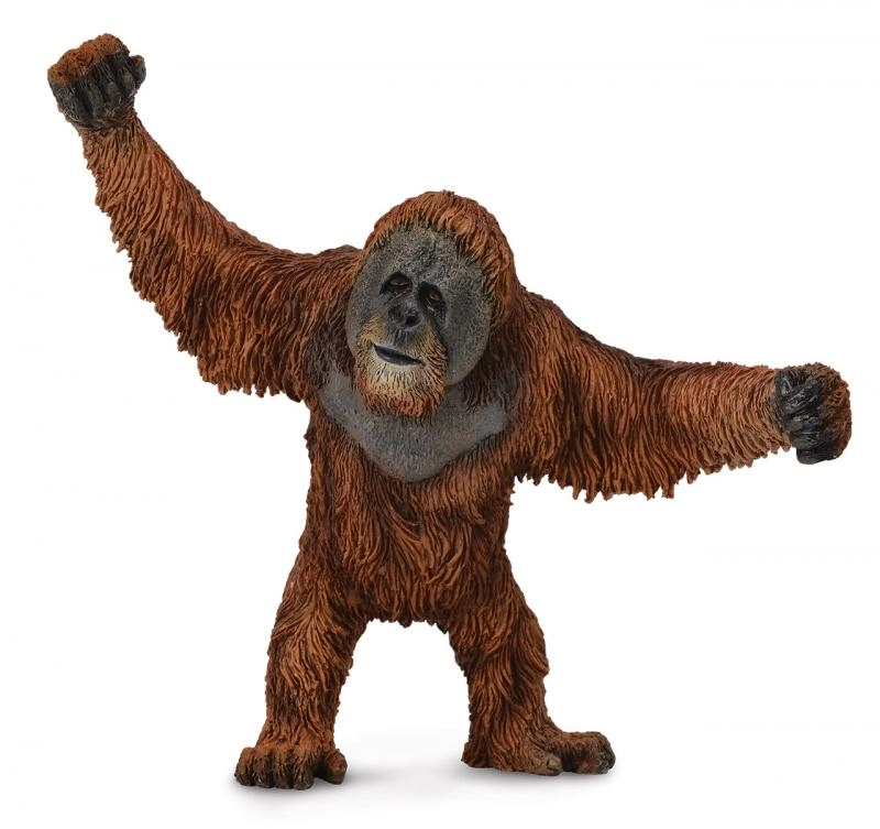 E-shop Figúrka orangutana CollectA