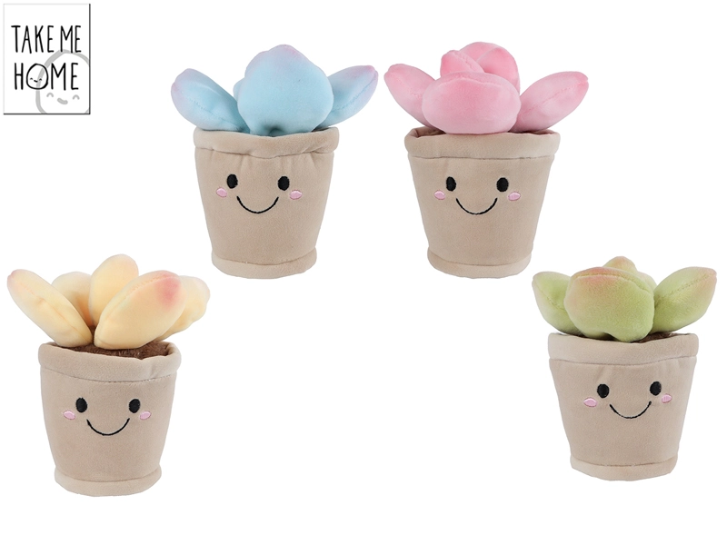 Mikro trading Take Me Home Rostlina pokojová 4 barvy 13 cm