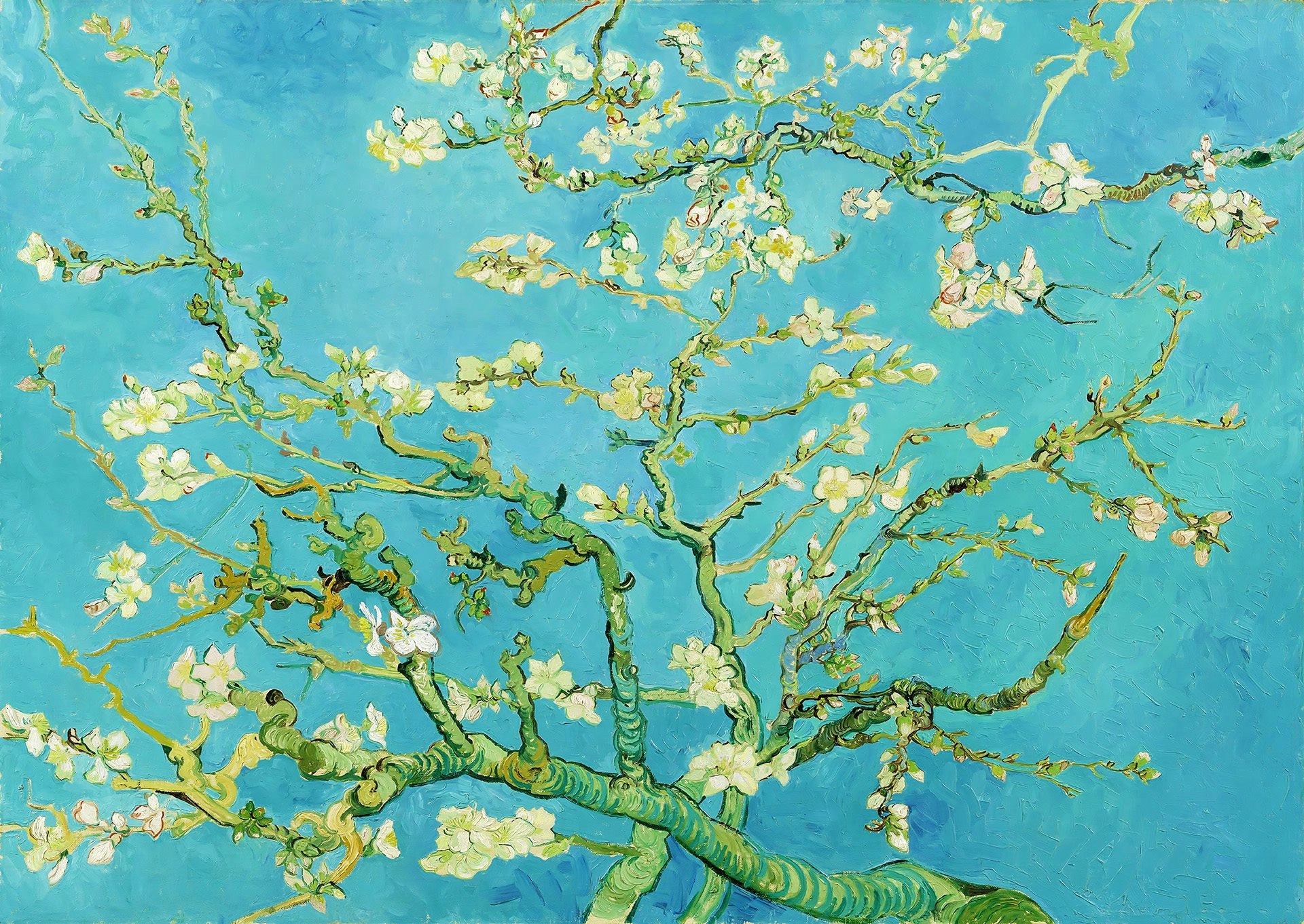 E-shop ENJOY Vincent Van Gogh: Větev mandlovníku 1000 dielov