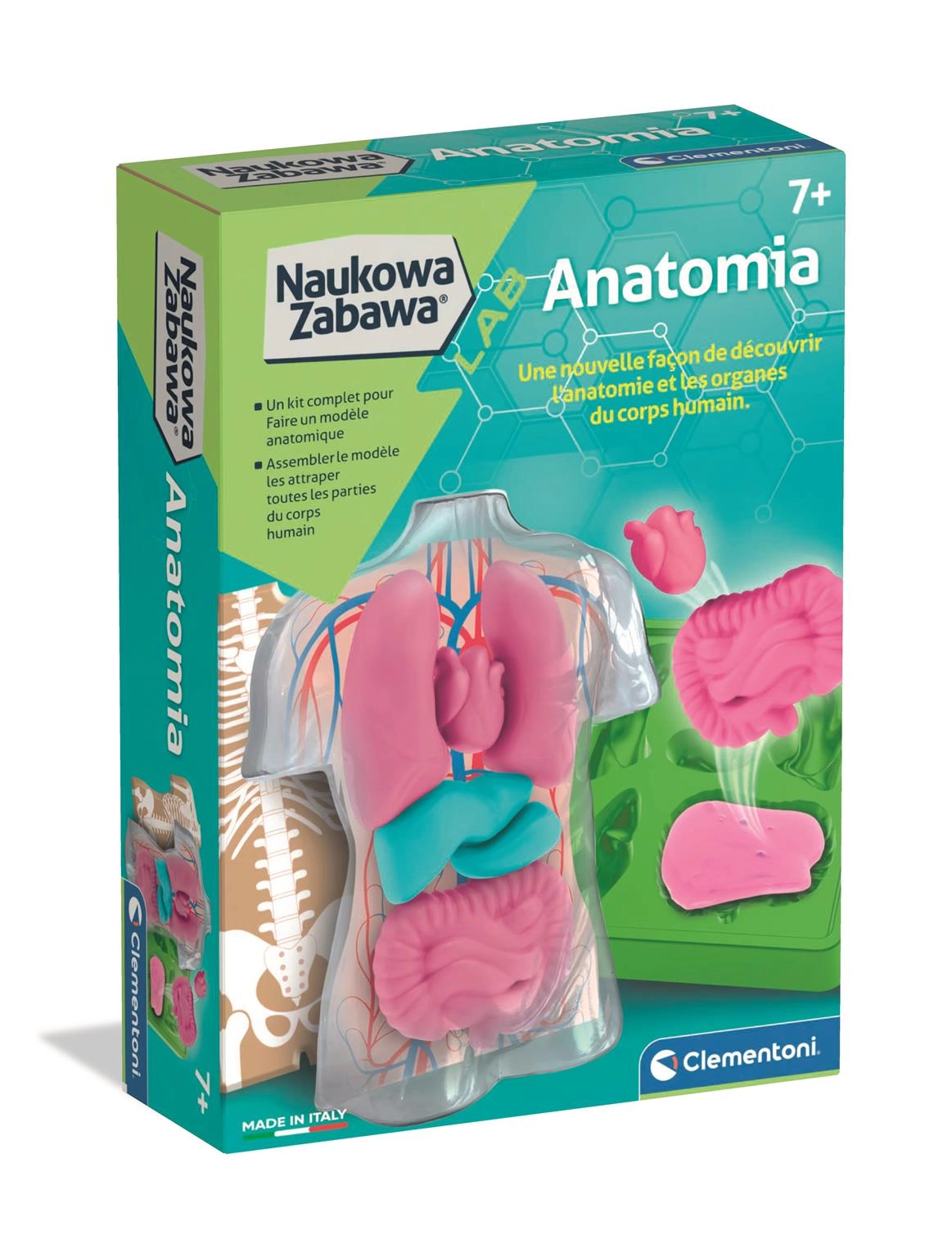Vzdelávacia sada anatómie CLEMENTONI
