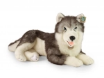 Plyšový pes husky ležiaci 60 cm ECO‑FRIENDLY od RAPPA