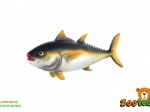 Plastový model tuniaka obyčajného 12 cm