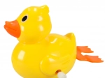 Kúpeľňová hračka kačička