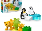 LEGO DUPLO rodiny divokých zvierat: tučniaky a levy