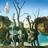 EUROGRAPHICS Puzzle Labute odrážajúce slony 1000 dielikov