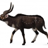 Figúrka horskej nialy