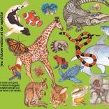 Kartová hra Zanimatch