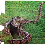 Just Jigsaws Had a jeho životný cyklus drevené vrstvené puzzle