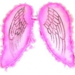 Ružové krídla pre anjela a vílu