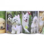 Kovová pokladnička so psami a mačkami