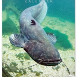 Nástenný kalendár Rybársky 2026