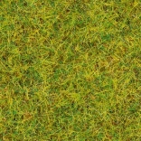 Statická tráva Letná Lúka 2,5 mm