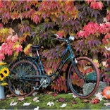 Puzzle Čaro jesene 1000 dielikov PIATNIK