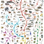 Puzzle EUROGRAPHICS Strom života 1000 dielikov