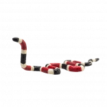 Realistická figúrka koralovca