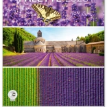 Nástenný kalendár Paleta 2025