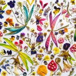 Puzzle Víly a Vážky 1000 dielikov