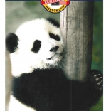 Sada pasteliek KOH-I-NOOR 12 farieb