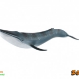 Model vráskavca obrovského 27 cm