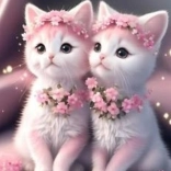 Diamantové maľovanie Ružové mačiatka 30x40cm