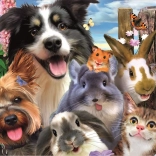 Educa Puzzle vtipné selfie 500 dielikov