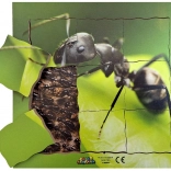 Mravec a jeho životný cyklus - drevené vrstvené puzzle
