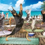 Puzzle Joga v kúpeľoch XL 500 dielikov