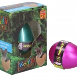 Rastúce vajce Koala 6,5 cm