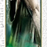 Puzzle Harry Potter Dumbledore 300 dielikov