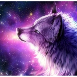 Diamantové maľovanie Vlčí snem 30x40 cm
