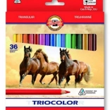 Trojhranné pastelky KOH-I-NOOR TRIOCOLOR, 36 ks