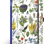 Zošit Bylinky Kateřiny Winterovej, bodkovaný, 13 × 21 cm