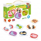 Alexander poznávanie pre najmenších – doštičky polovice