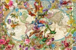Ravensburger puzzle Mapa sveta – flóra a fauna 3000 dielikov