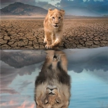 Puzzle 300 dielikov - Sebareflexia