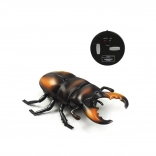 RC jeleňovec (nosorožtek) s infra ovládaním