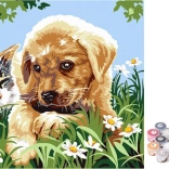 Maľovanie podľa čísel Roztomilí kamaráti