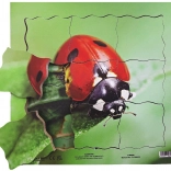 Just Jigsaws Drevené vrstvené puzzle Lienka a jej životný cyklus 19 dielov