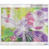 Diamantové maľovanie – magická huslistka 30 × 40 cm