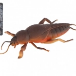 Naťahovacia antistresová jašterica z TPR 18 cm